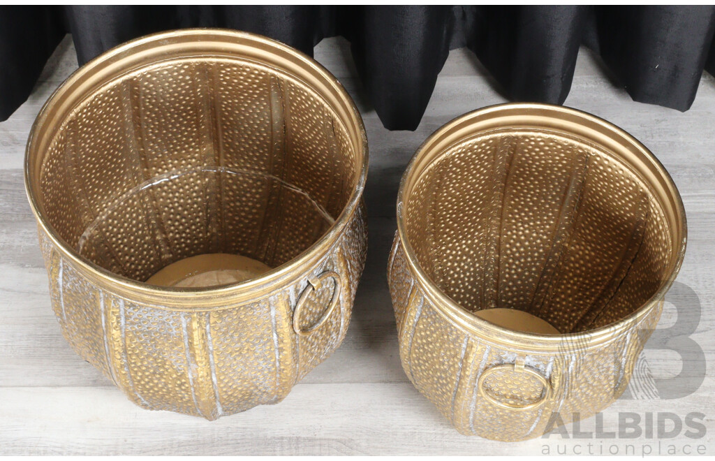Pair of Graduated Pressed Tin Planters