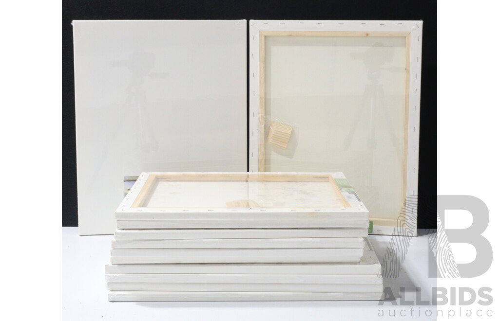 Collecxtion of 12 Blank Artist Canvases