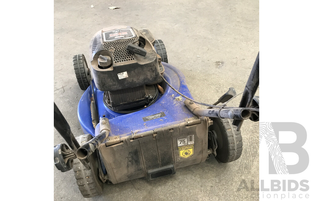 Victa Hurricane Mulch on Catch Lawn Mower