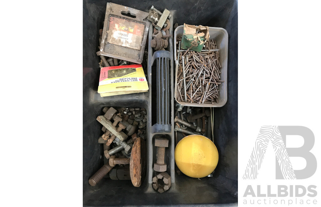 Bulk Lot of Tools and Equipment Including Lights, Straps, Castor Wheels, Nails, and More