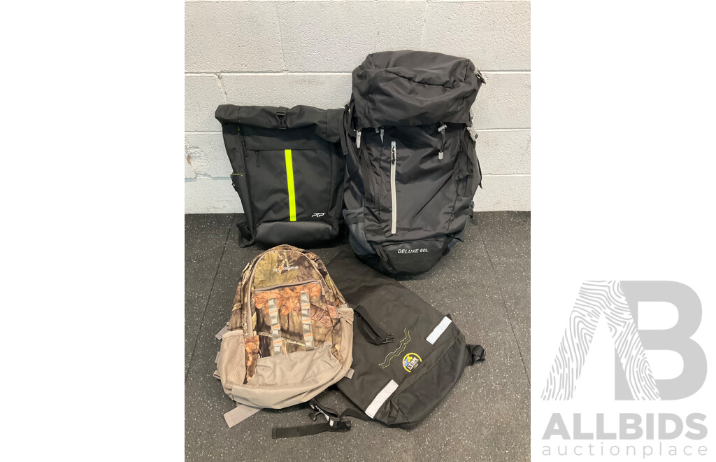 Assorted Hiking Bagpacks - Lot of 4