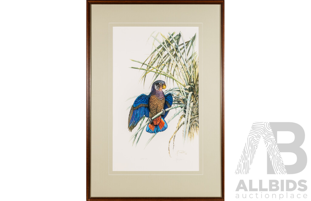 Rosalia Demonte, (20th Century, Brazilian, 1932-2009), Dusky Parrot, Quality Colour Print of Original, Hand Signed by Artist, 105 x 73 cm (frame)