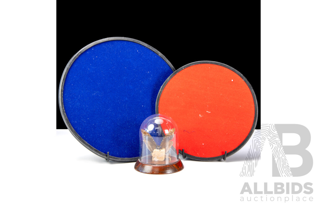 Collection of Four Vintage Mounted Butterflies