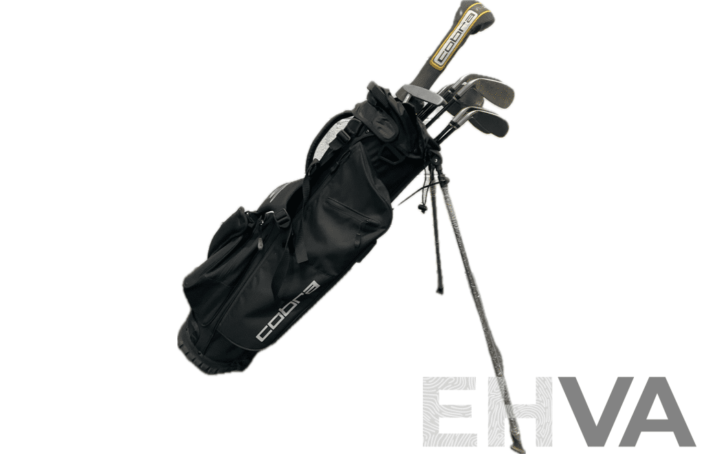 COBRA Golf Package Set, Including Stand Bag and Clubs (5,6,7,8,9,S,P,G,Hunter ZP-450, Fly-Z)