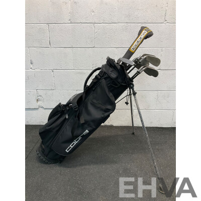 COBRA Golf Package Set, Including Stand Bag and Clubs (5,6,7,8,9,S,P,G,Hunter ZP-450, Fly-Z)