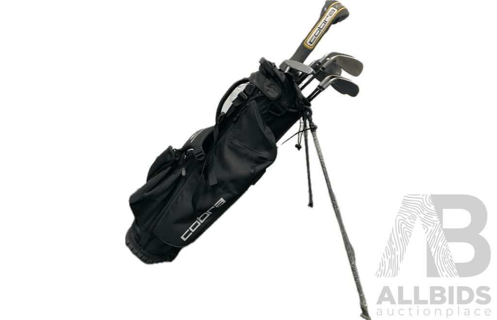 COBRA Golf Package Set, Including Stand Bag and Clubs (5,6,7,8,9,S,P,G,Hunter ZP-450, Fly-Z)