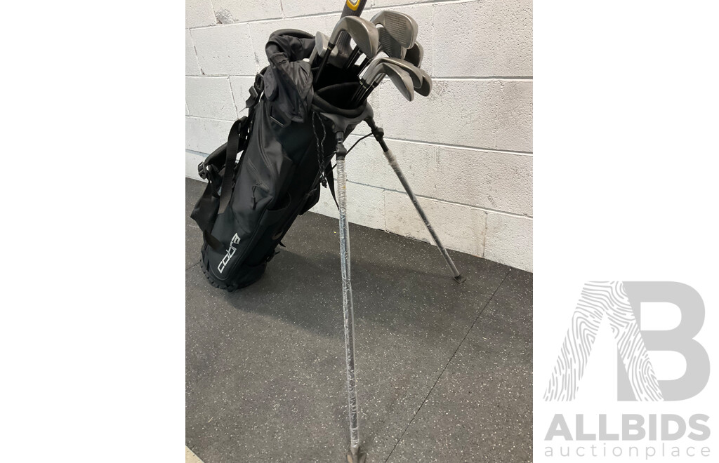 COBRA Golf Package Set, Including Stand Bag and Clubs (5,6,7,8,9,S,P,G,Hunter ZP-450, Fly-Z)