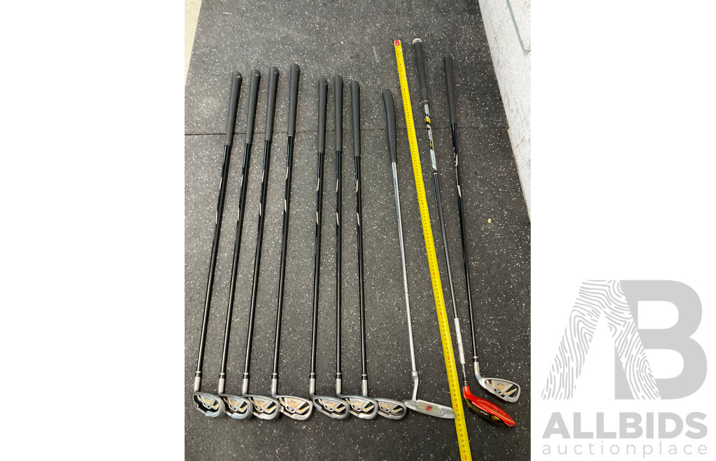 COBRA Golf Package Set, Including Stand Bag and Clubs (5,6,7,8,9,S,P,G,Hunter ZP-450, Fly-Z)