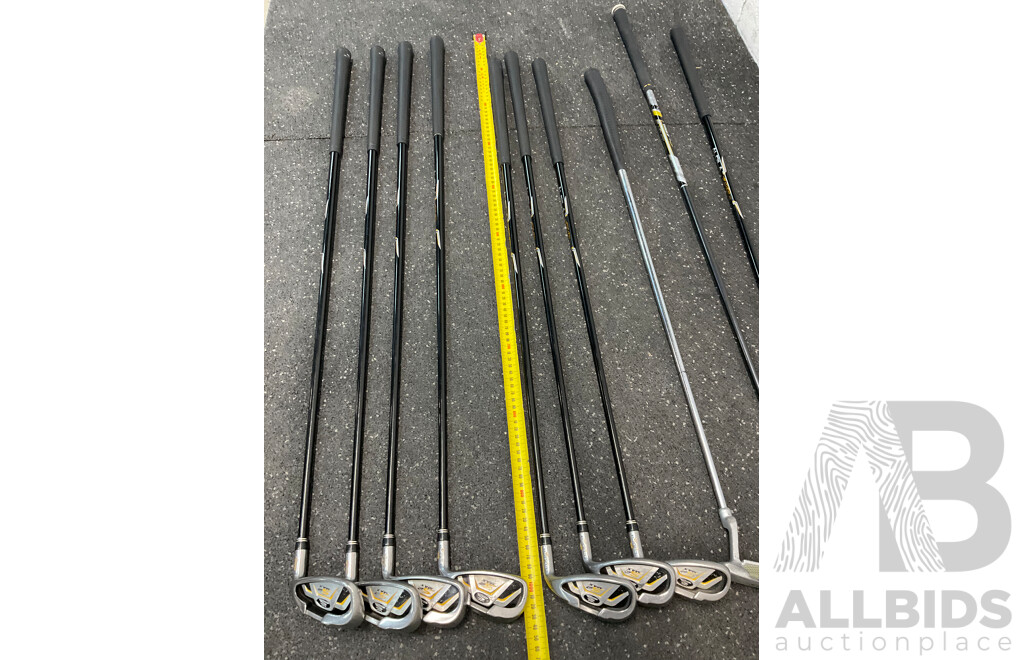 COBRA Golf Package Set, Including Stand Bag and Clubs (5,6,7,8,9,S,P,G,Hunter ZP-450, Fly-Z)