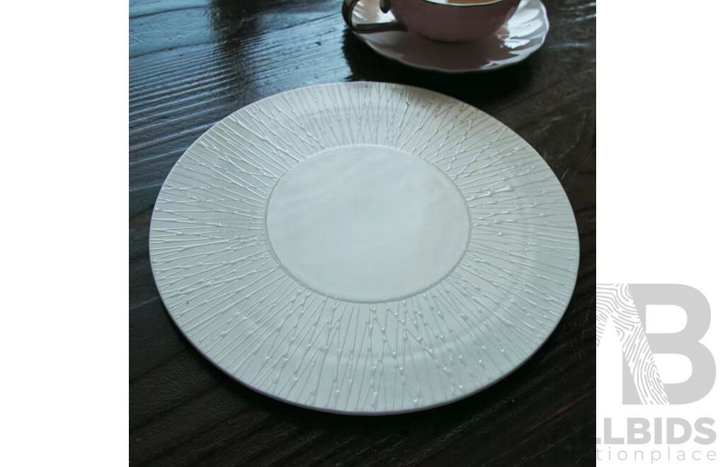 Y! Handmade Ceramic Tea Caddy Canister (white) X3 & LUZERNE Multi-Purpose Serving Plates for Display, Sushi or Food Serving X14 -  Lot of 17