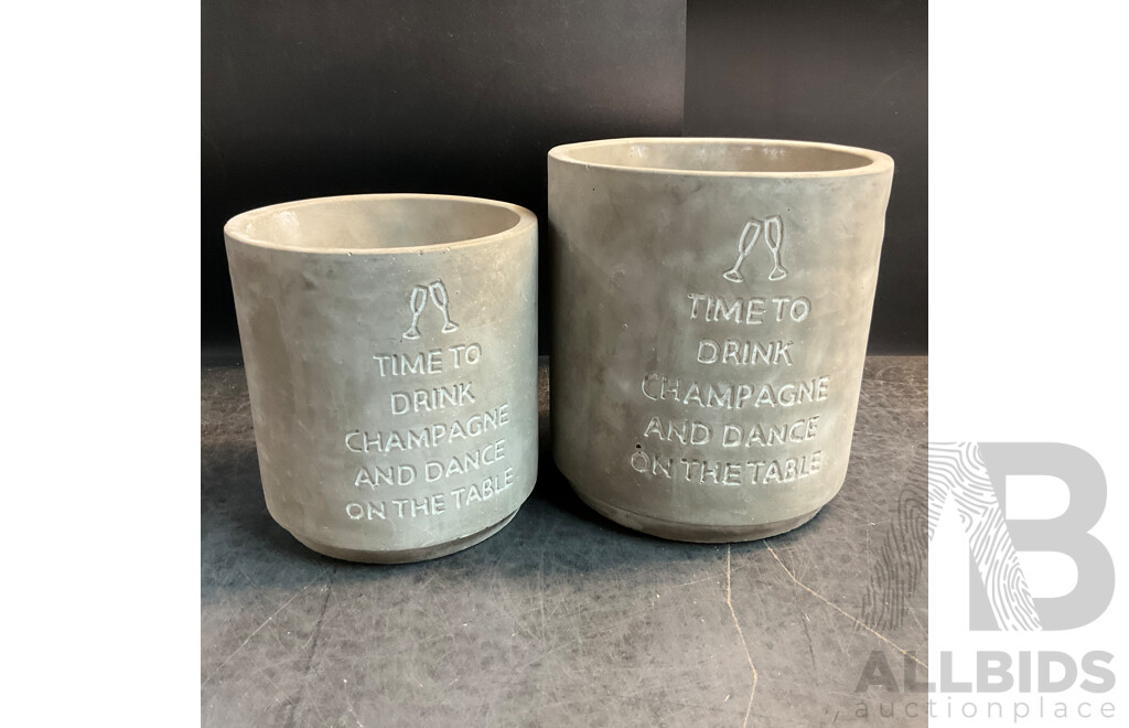 Three Sizes of SAVE WATER DRINK WINE & TIME to DRINK Cement Garden Pots X16 & Upside Down Plant Pots X6 - Lot of 22