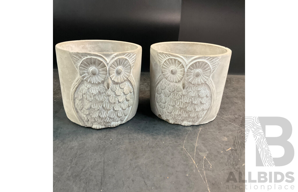 SAVE WATER DRINK WINE Cement Garden Pots X5 & Owl Cement Garden Pots X6 - Lot of 11