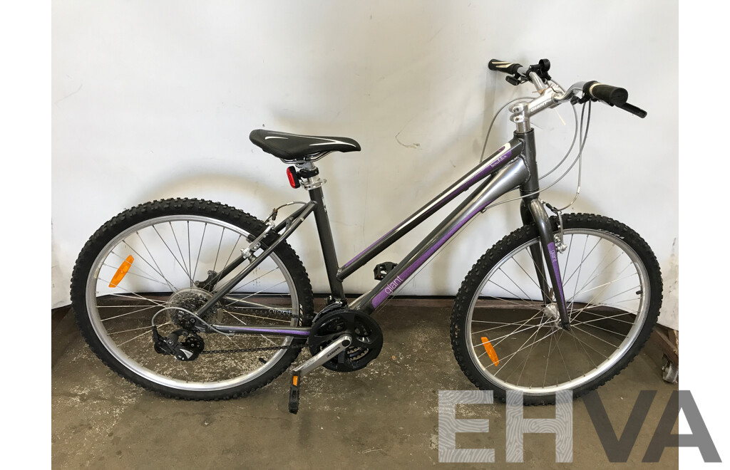 Giant Boulder 21 Speed Hybrid Bike