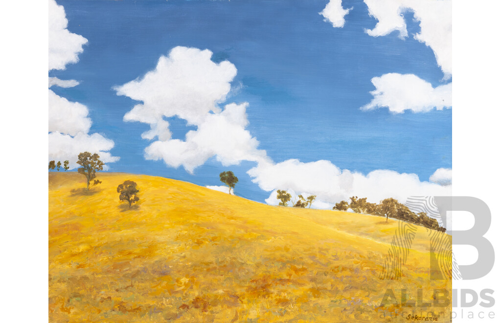 Rhonda Sekoranja, (20th Century, Australian), Hume Highway Near Seymour Victoria (2018), Original Oil on Canvas, 41 x 51 cm