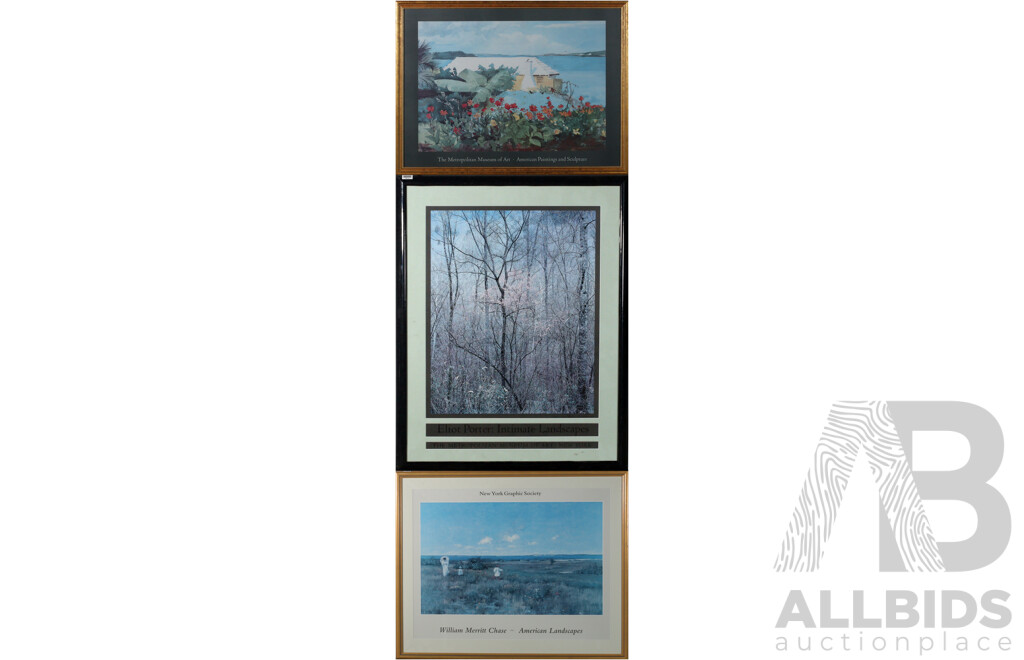 Collection of Three Framed American Museum Prints