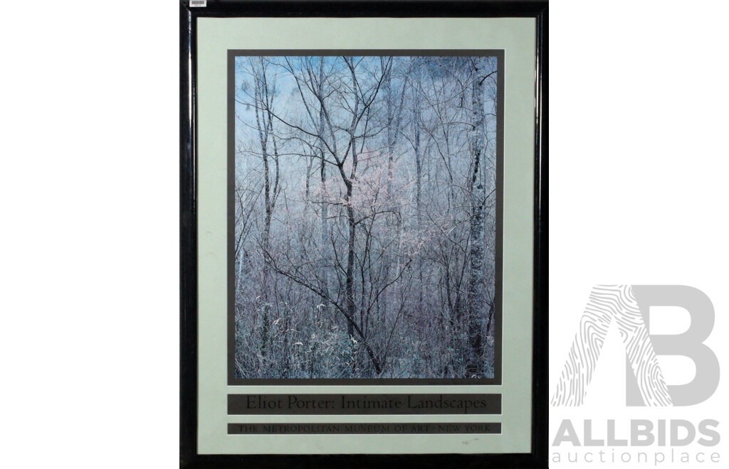 Collection of Three Framed American Museum Prints