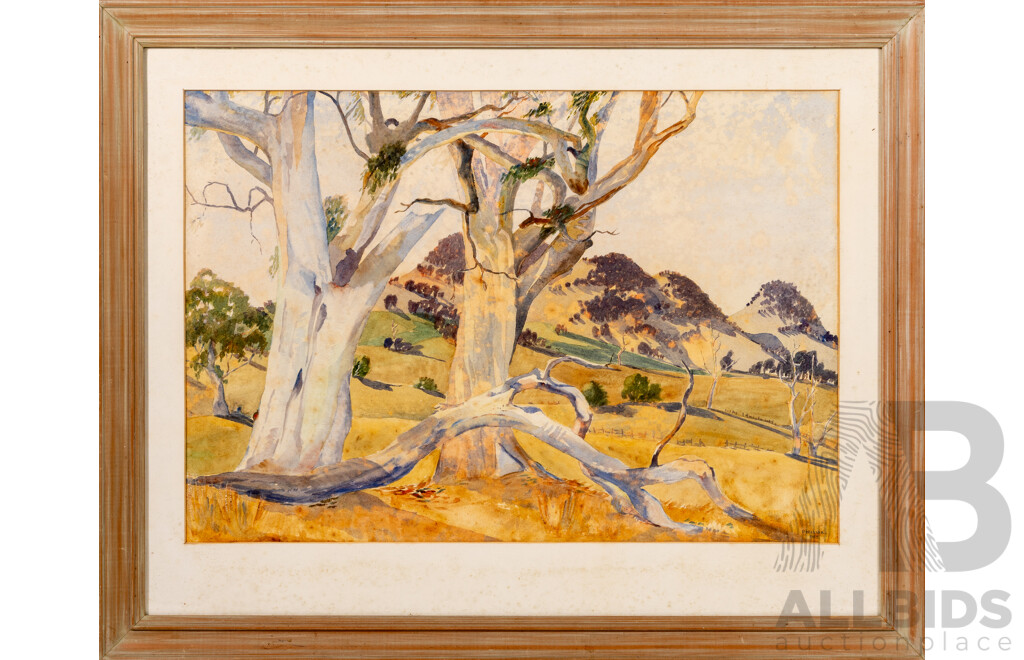 P. Hilliar (20th Century, Australian), Landscape - Gumtrees in Bushland, Vintage Original Watercolour, 53 x 66 cm (frame)