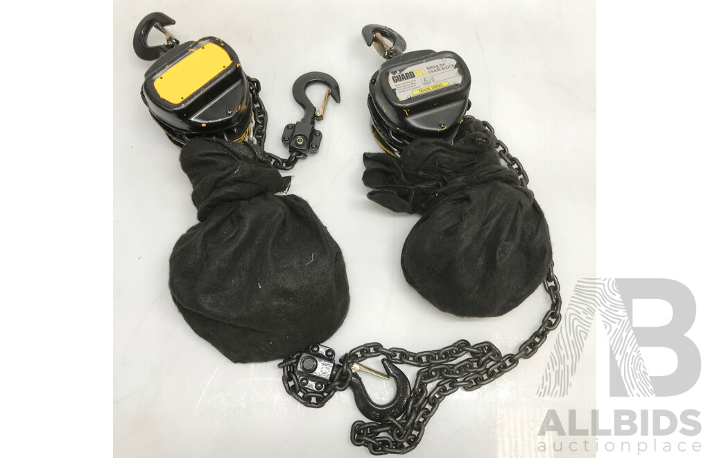 GuardAll Industrial Series 3m 500kg Chain Block Lift - Lot of Two