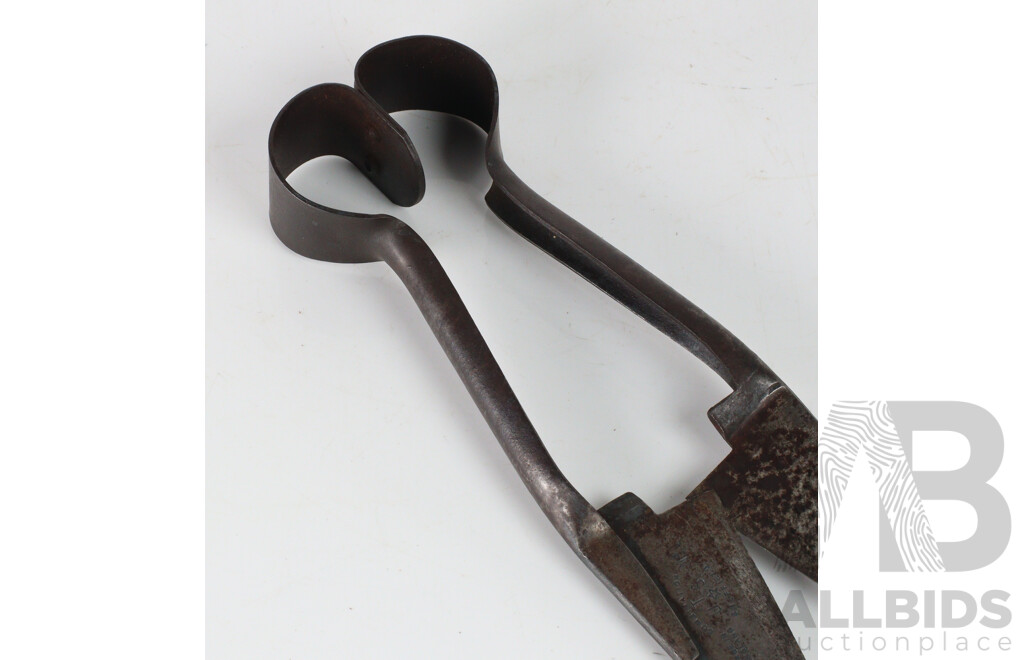 Pair of Vintage Comnbination Metal Hand Sheep Shears in Bespoke Timber Holster