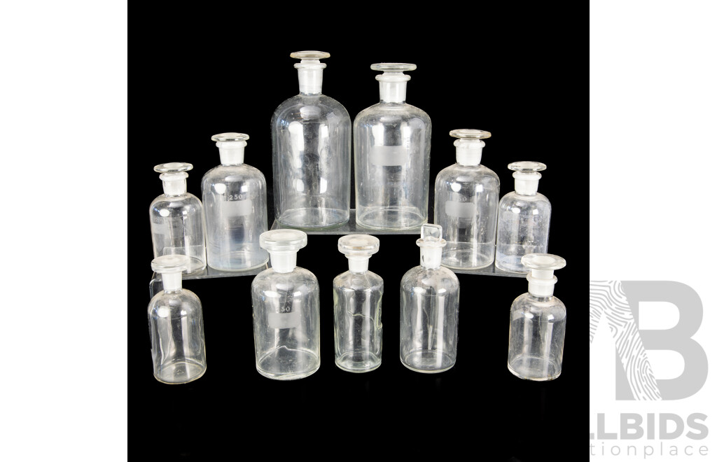 Collection Chemists Apothecary Bottles with Stoppers