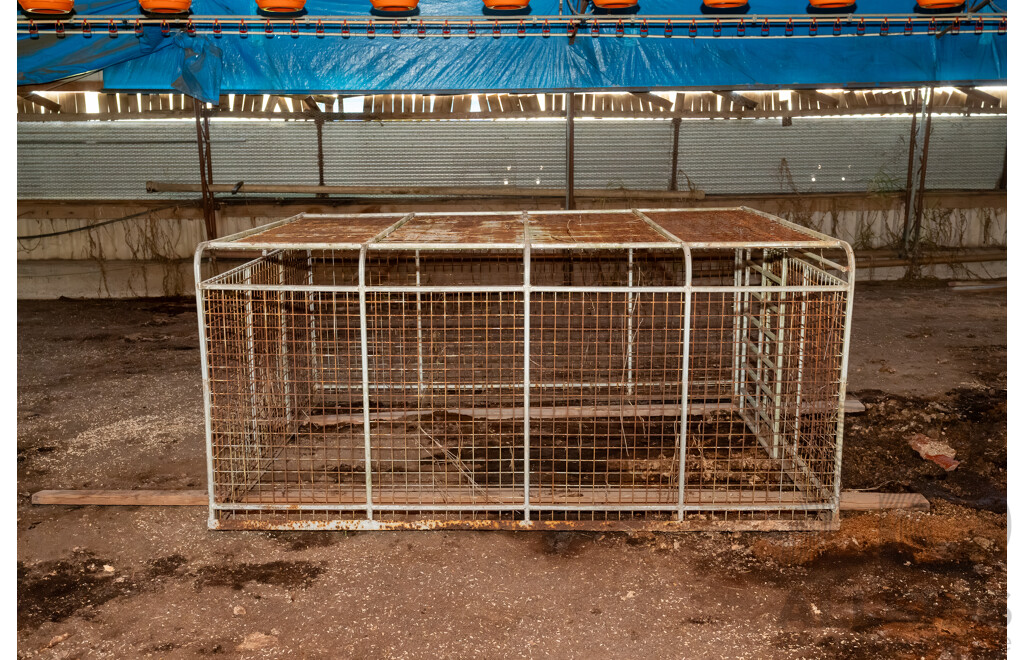 Removable Live Stock Cage to Suit a Trailer
