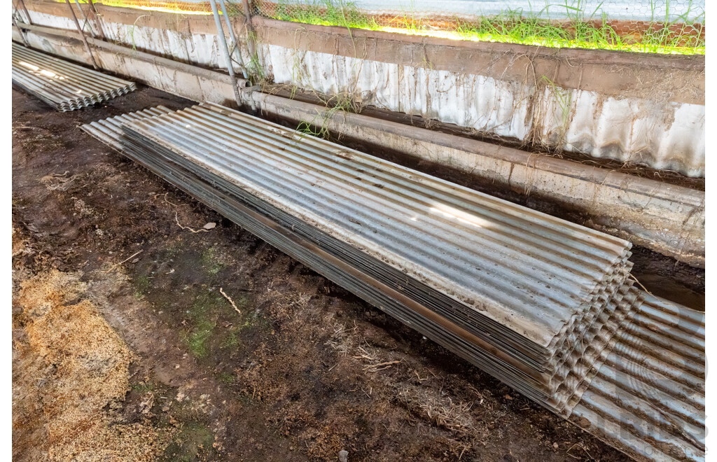 Quantity of Corrugated Iron Sheets