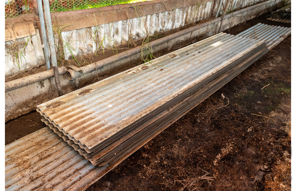 Quantity of Corrugated Iron Sheets