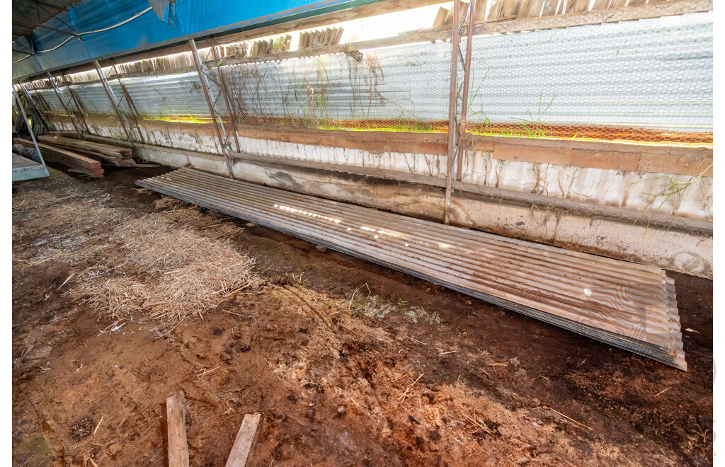 Quantity of Corrugated Iron Sheets