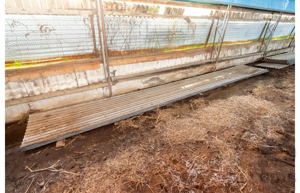 Quantity of Corrugated Iron Sheets