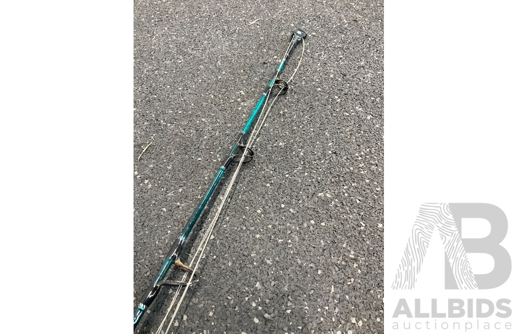 SHIMANO AQUA TIP Fishing Rod with SHIMANO TLD25 Reel