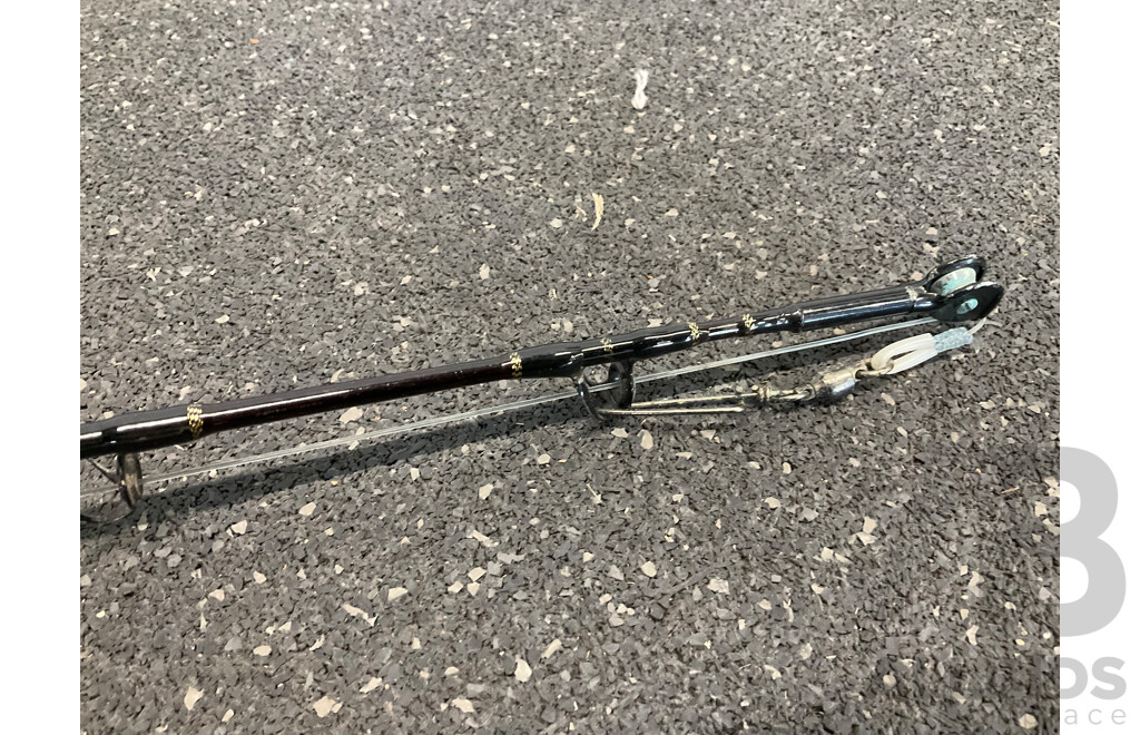 SHIMANO Fishing Rod with OKUMA TITUS Reel