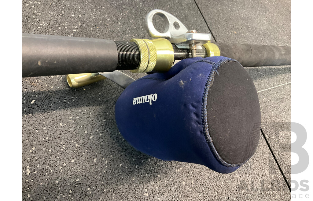SHIMANO Fishing Rod with OKUMA TITUS Reel