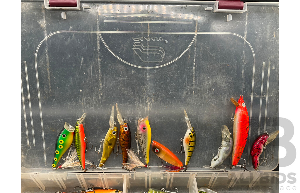 Assorted Fishing Lures
