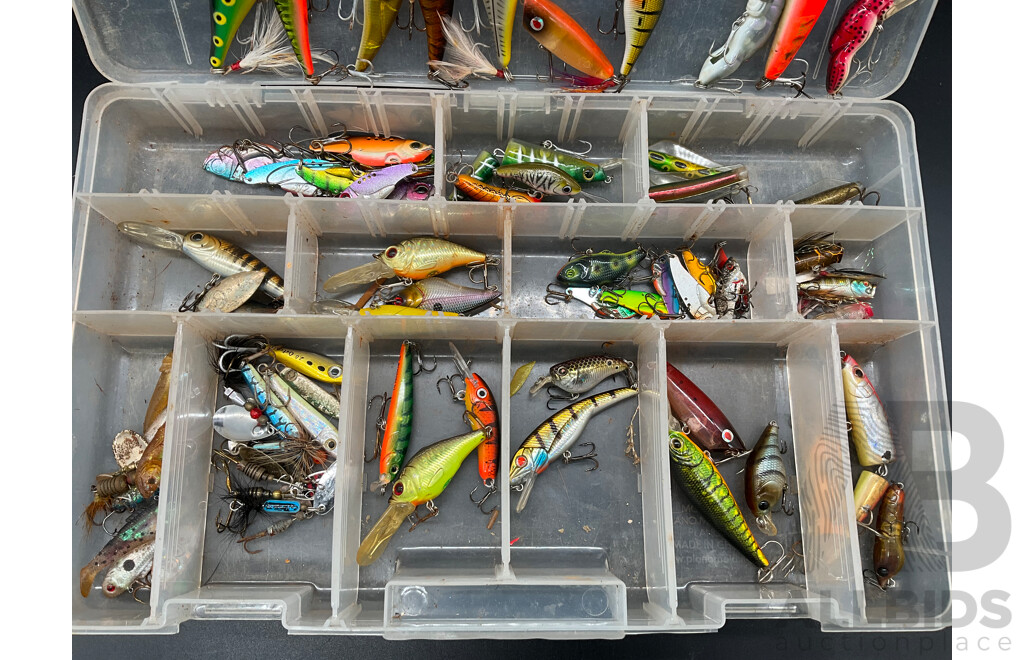 Assorted Fishing Lures