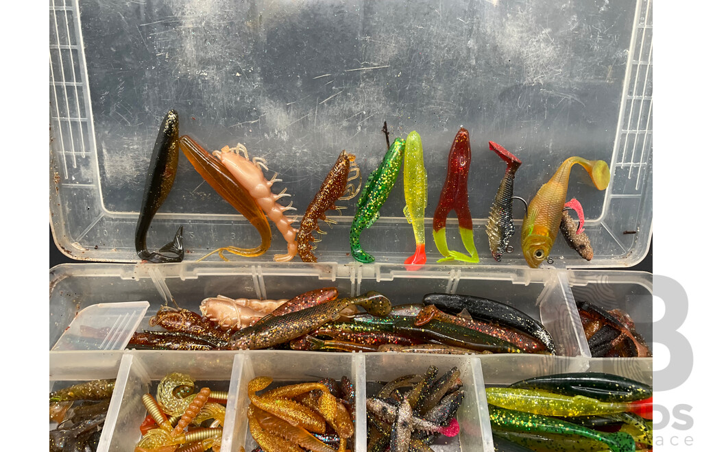 Assorted Soft Plastic Fishing Lures