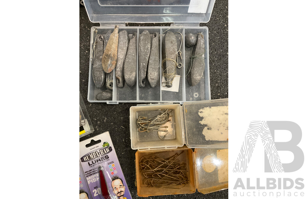 Assorted Fishing Accesories, Including Large Landing Net, Lures and Others