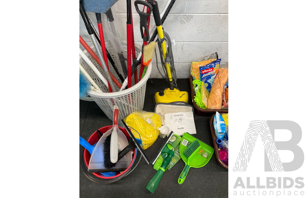 Assorted Cleaning Supplies and Steam Cleaner