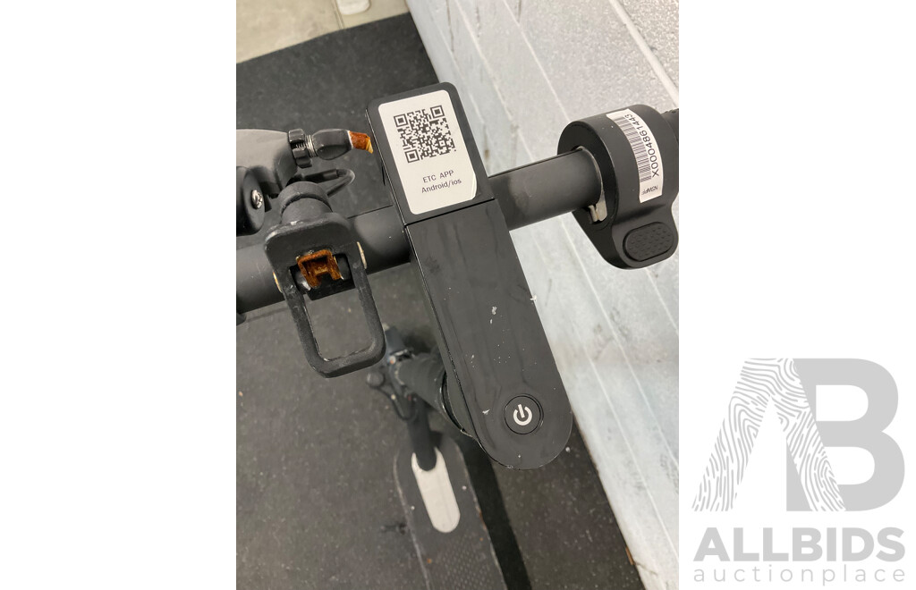 Electric Scooter