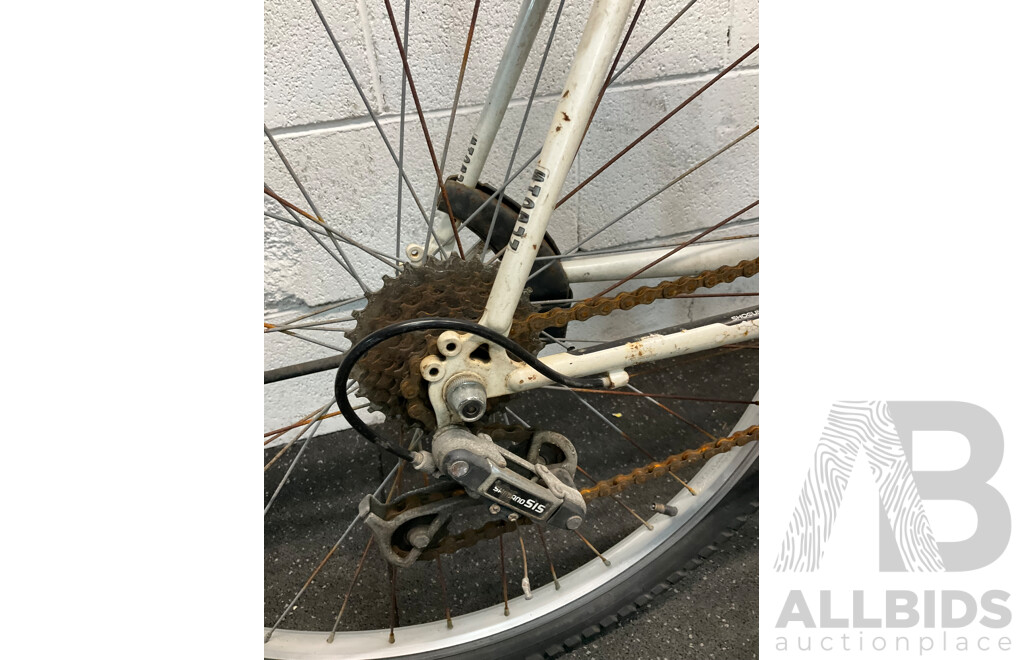 SHOGUN Trail Breaker Mountain Bike
