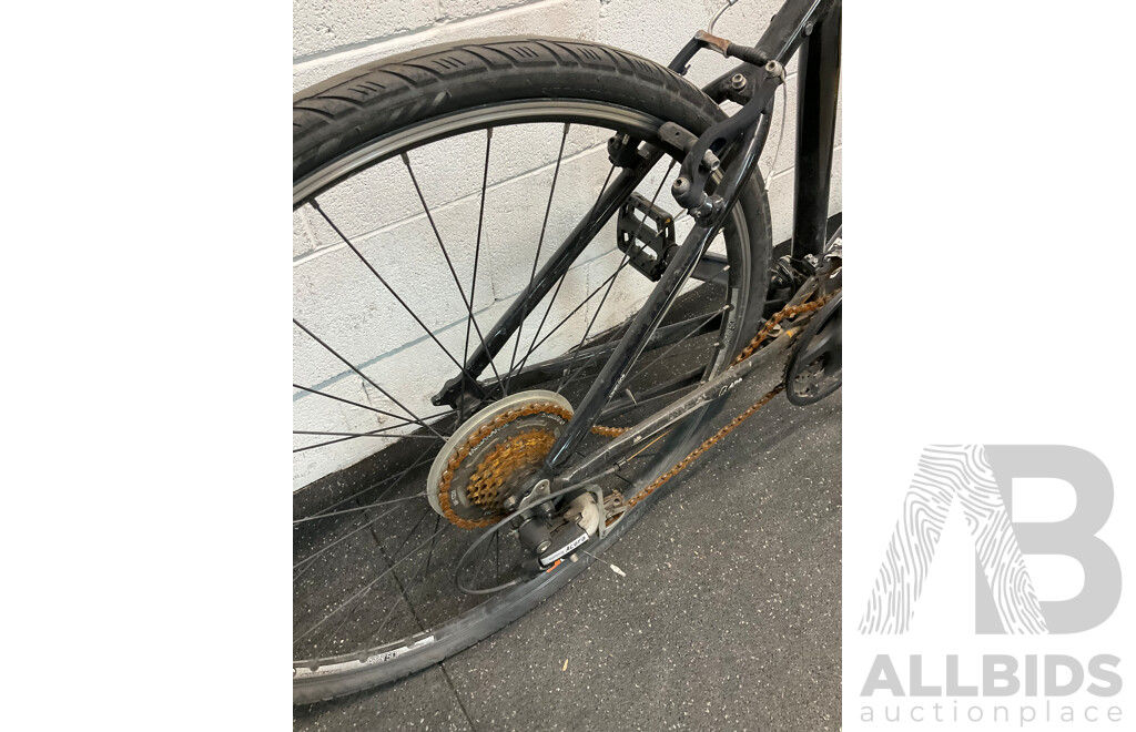 TREK Hybrid Bike