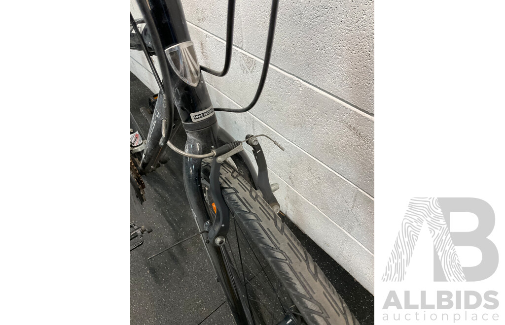 TREK Hybrid Bike
