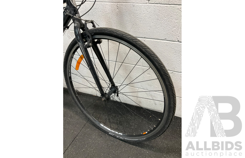 TREK Hybrid Bike