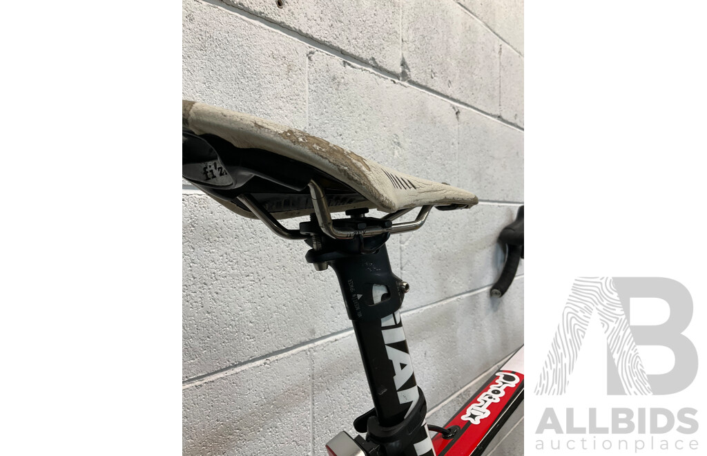 GIANT TCR Carbon Race Road Bike