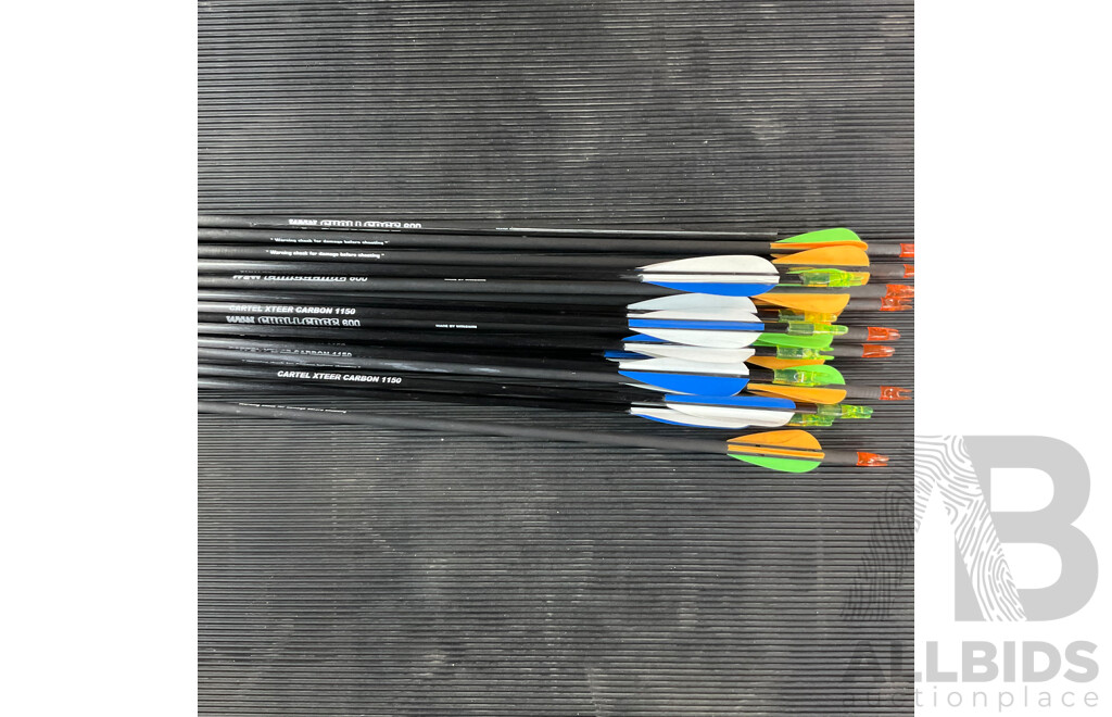WNS Delta NX Riser with Limbs & Maxion Crx300 Bag, Legend XT 320 Target Quiver & Assorted Arrows