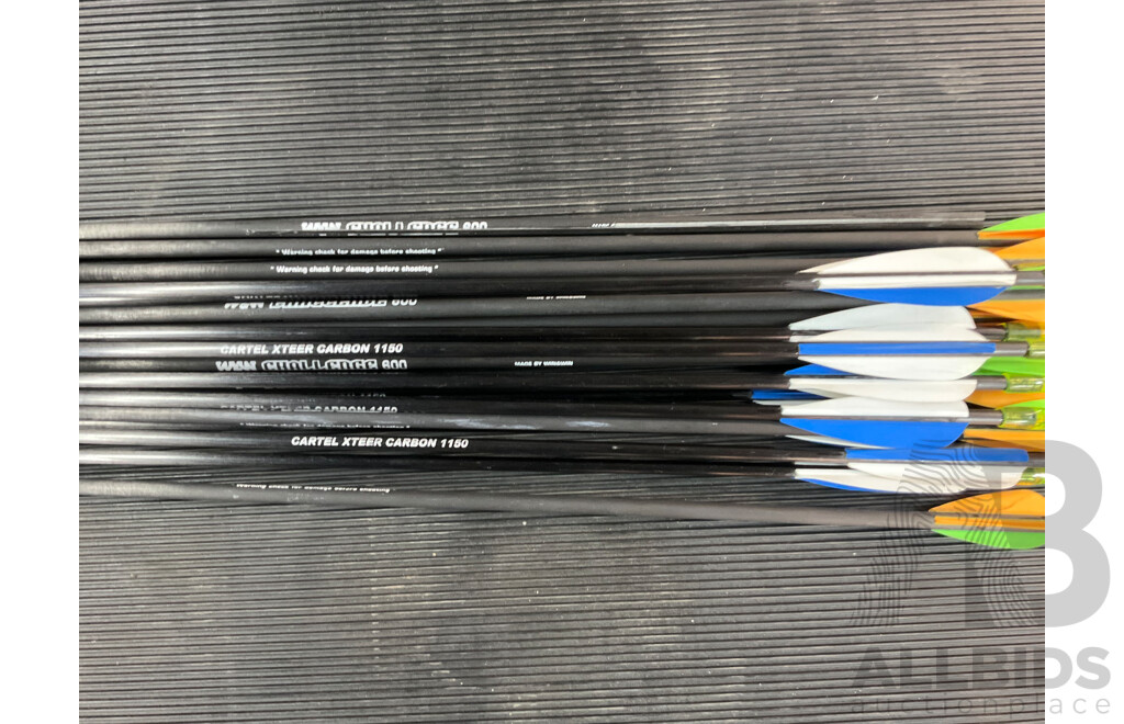 WNS Delta NX Riser with Limbs & Maxion Crx300 Bag, Legend XT 320 Target Quiver & Assorted Arrows