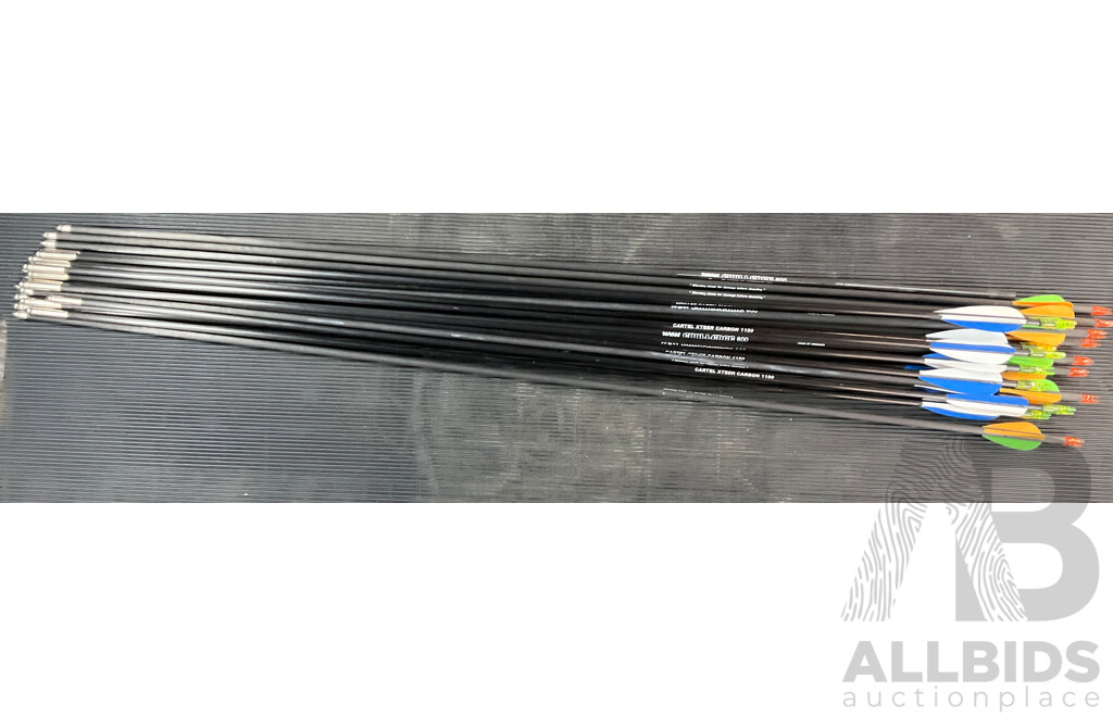 WNS Delta NX Riser with Limbs & Maxion Crx300 Bag, Legend XT 320 Target Quiver & Assorted Arrows