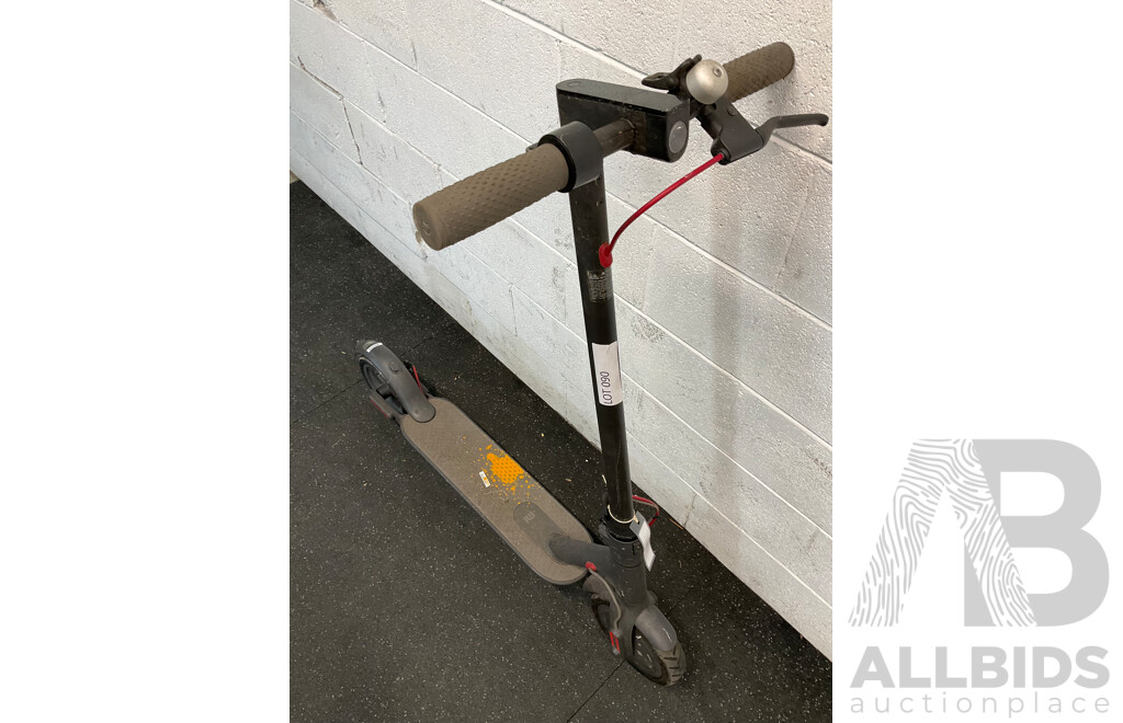 Electric Scooter