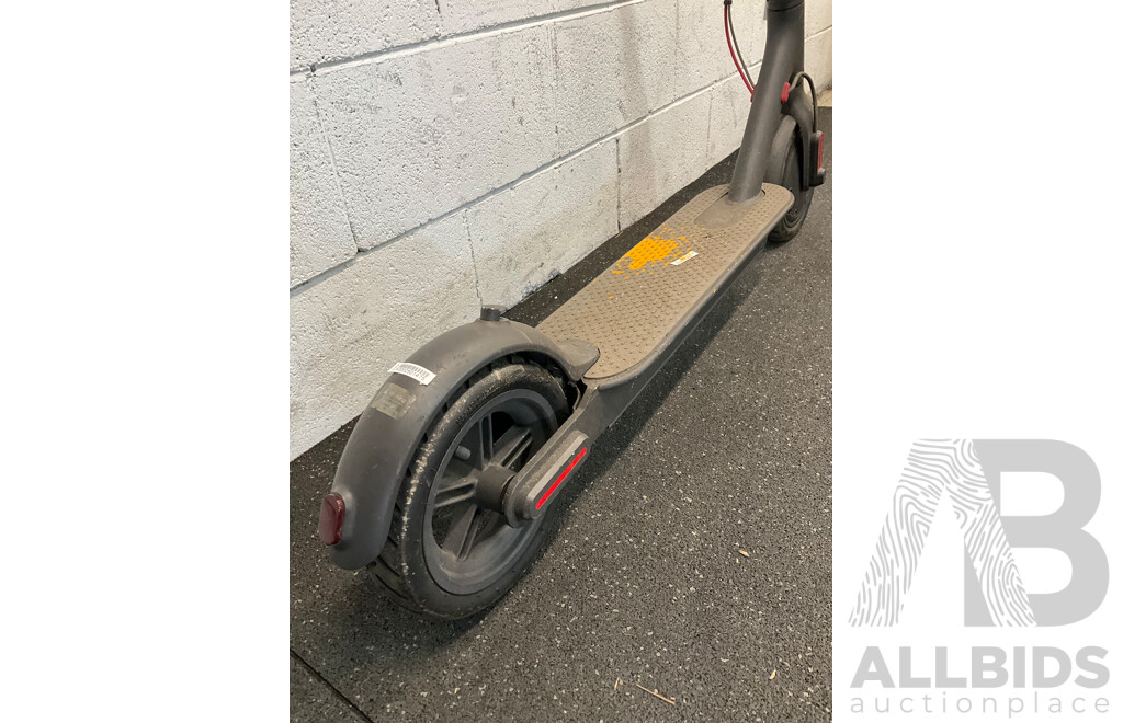 Electric Scooter