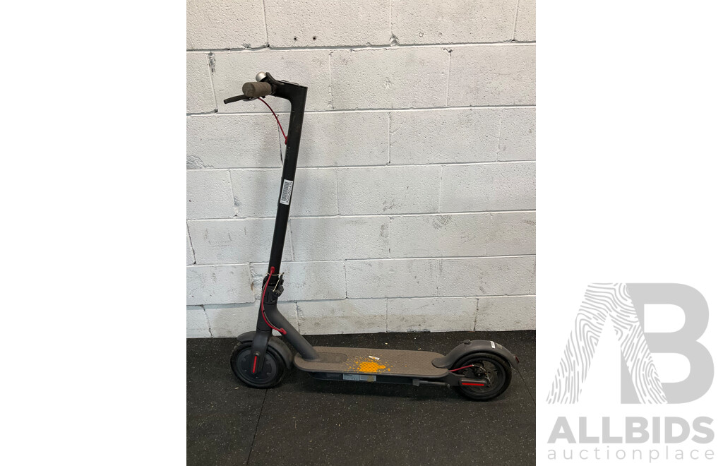 Electric Scooter