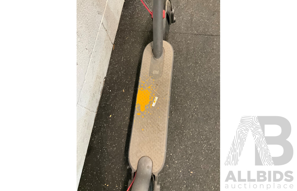 Electric Scooter